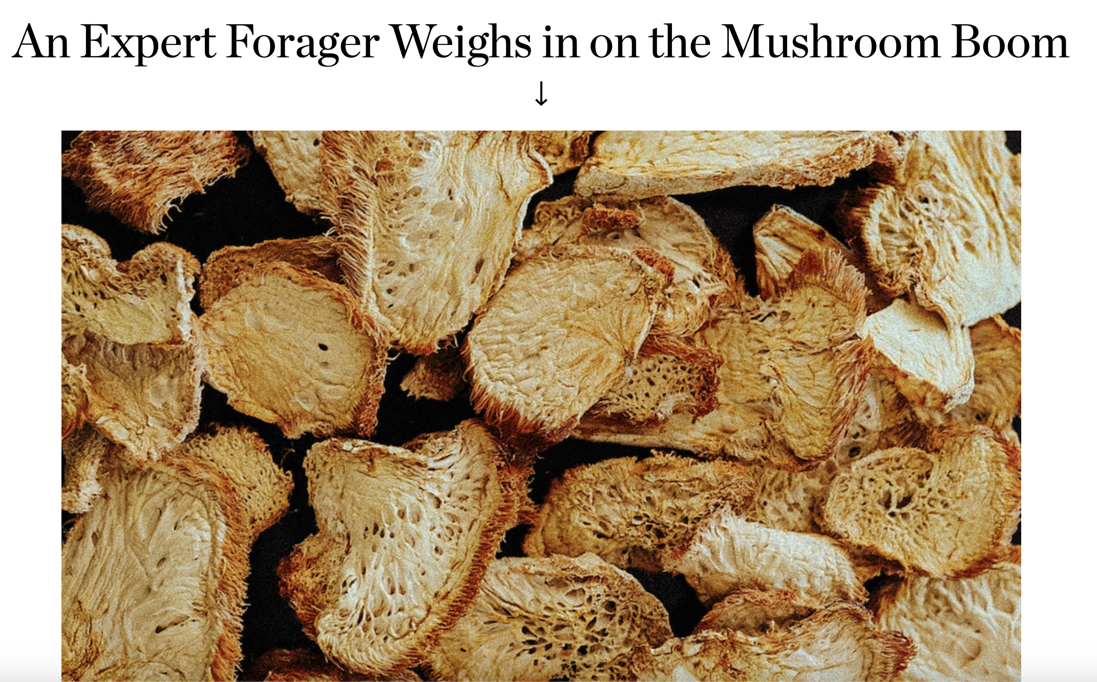 away-journalistic-content-marketing-mushrooms.png